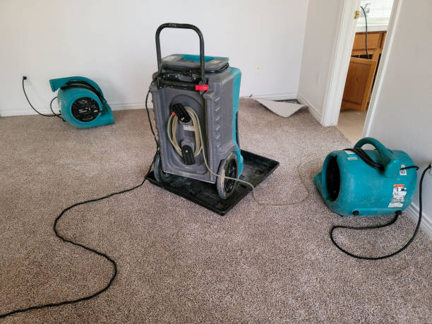  Georgetown, OH Water damage restoration Pros
