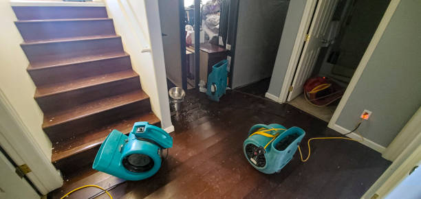 Professional Water damage restoration in Georgetown, OH