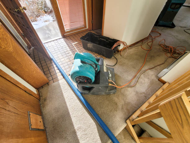 Best Water damage restoration near me  in Georgetown, OH