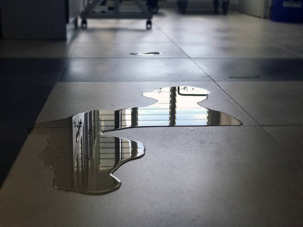 Best 24/7 water damage repair  in Georgetown, OH