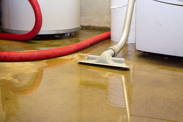 Best Emergency water extraction  in Georgetown, OH
