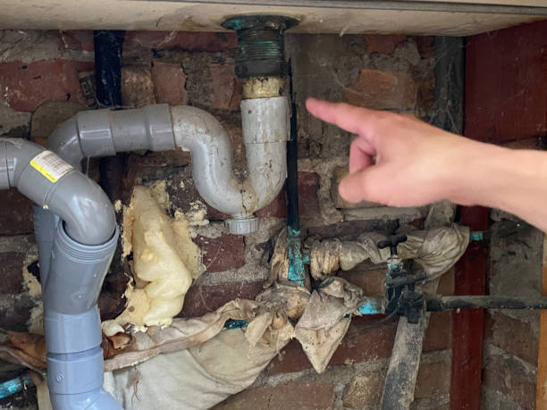 Best Sewage cleanup and water damage restoration  in Georgetown, OH