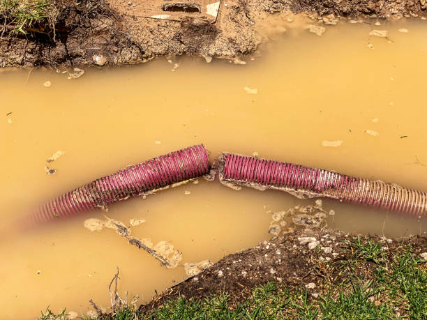 Best Residential water damage restoration  in Georgetown, OH