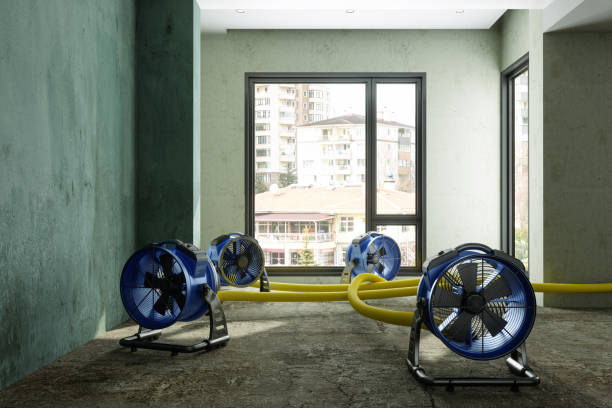 Best Fire Damage Restoration  in Georgetown, OH