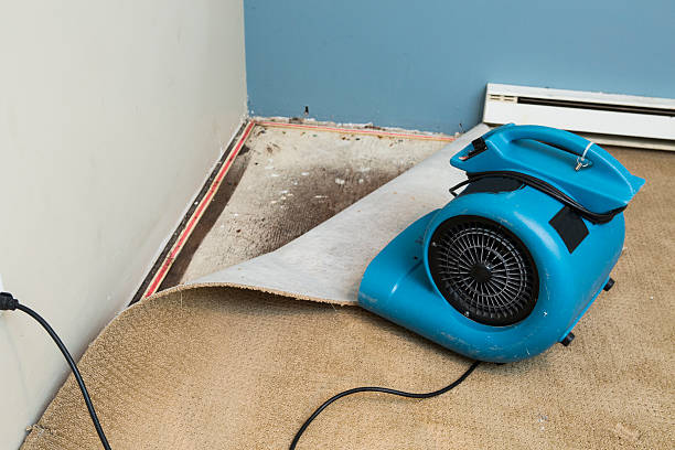 Best Carpet water damage restoration  in Georgetown, OH
